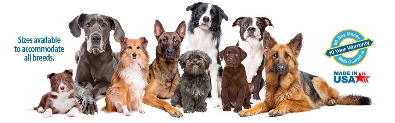 All Breeds